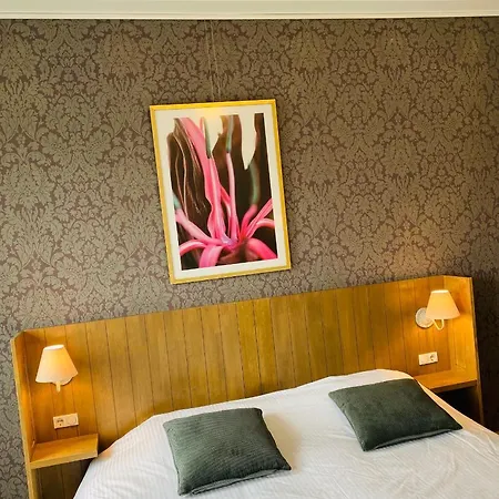 La Dune - Ontbijt & Parking Inclusief