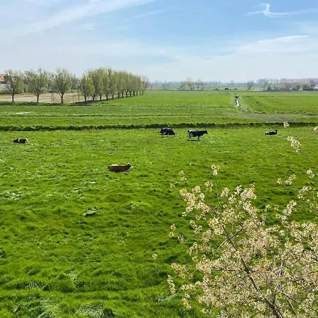 La Dune - Ontbijt & Parking Inclusief 4* Middelkerke