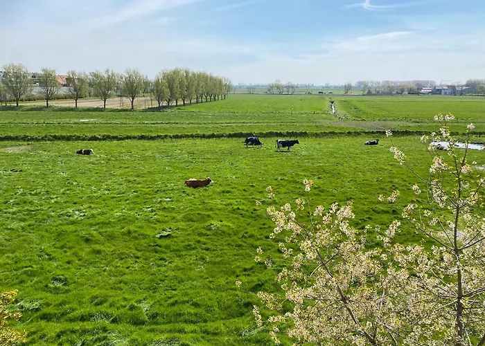 La Dune - Ontbijt & Parking Inclusief 4* Middelkerke
